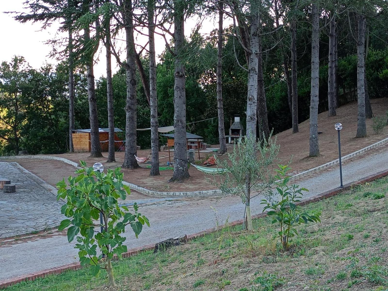B&B Villa Bianca Sant'Agata  Eksteriør bilde